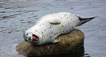 捧腹大笑