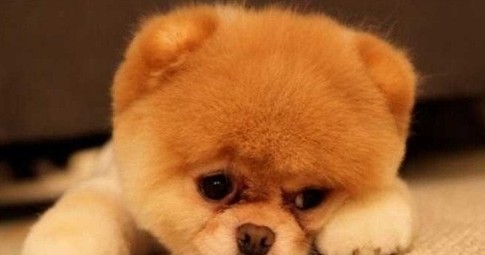 周日焦虑!如何抵抗周日综合症?