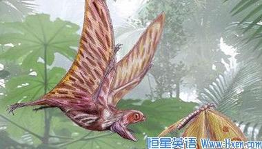 经济学人下载:远古动物行为 侏罗纪雨燕