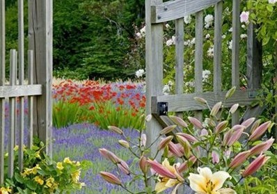 ����Ӣ������Ӣ�ల�������Լ���