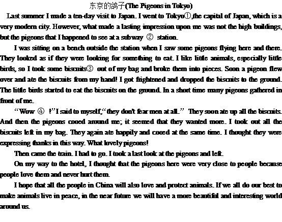 ���ڶ����ĸ���The Pigeons in Tokyo