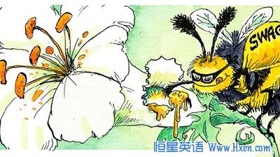 经济学人下载:昆虫学 有失蜂度