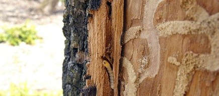 ��������������������