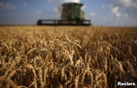 U.S.-China Agricultural Trade