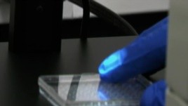 NYC Invests Heavily In Biotech Development