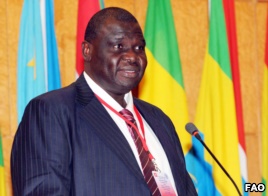 FAO Opens Africa Conference
