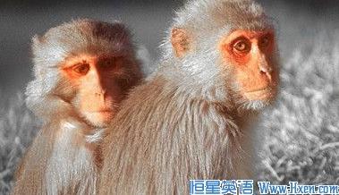 ����ѧ������:����λ�뽡�� ƶ��ָ��