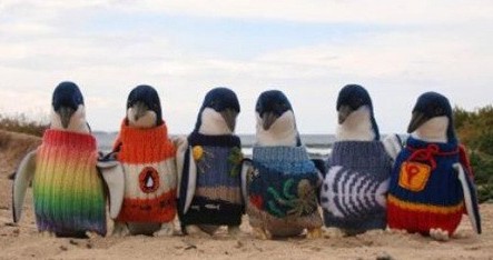 ������װ������ë��Ϊ������ʯ����Ⱦ