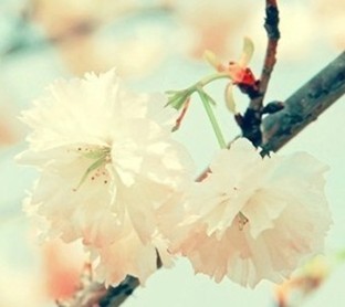 Ӣ���ļ����￼�Գ��ôʻ��ȫ