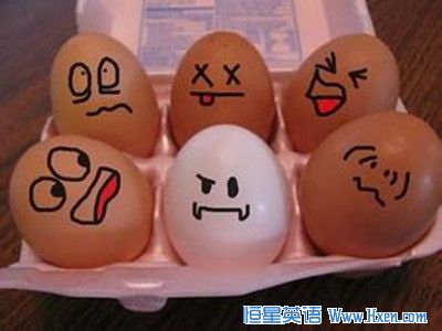 经济学人下载:最新小说 温馨食物