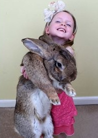 ������������ ÿ���12�����ܲ�