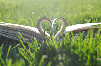 ����Ӣ����ʷ���ָ��