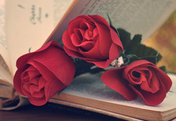 Ӣ��������������ע��14��ؼ���