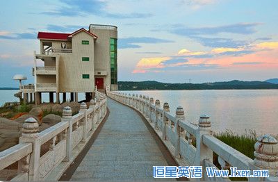 经济学人下载:独居时代的崛起
