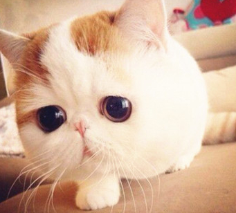 Ӣ���ļ����Գ����߼���ϵ�ʻ���