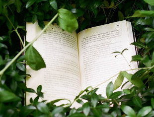 Ӣ���������ڱ����ص�ʻ����