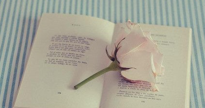 2014��6��Ӣ���ļ�����Ԥ�⣺�����ۺ�֢