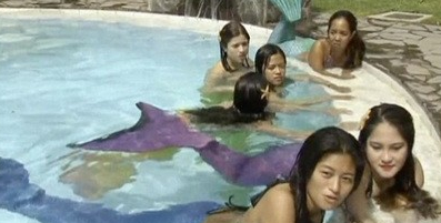 ���ɱ�������ѧԺ�����������������