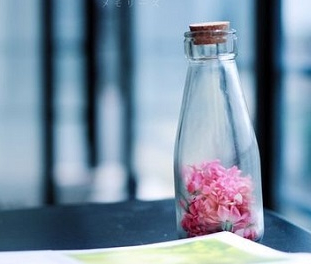 ��ι�Ӣ��������