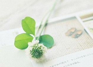 �����ļ����Գɼ�֤���ͳɼ��˲�����Ĺ涨