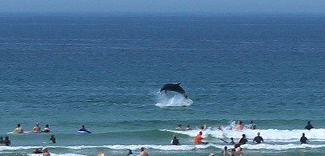 ��ˮ���21�� �Ⱥ�����ˮ������ˣ��