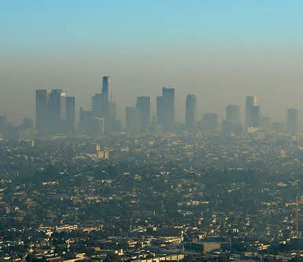 �о���������Ⱦ������Ա�֢�;������