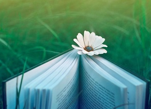 2014��12��Ӣ������������Ӧ�Լ��ɣ���ߴ�����