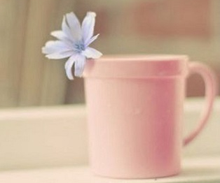 ��ѧӢ��������