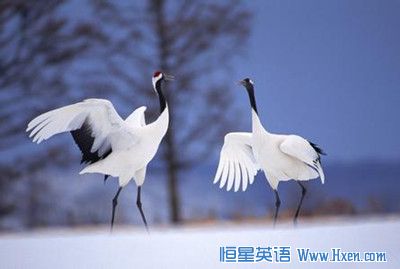 ����ѧ������:���ٷ��� �ҵ�Ǯ�����������