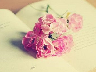 2014�����ѧϰ�ƻ���������ͻ��Ӣ��������