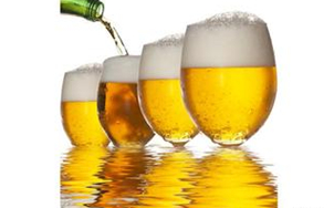 ����ơ���ڱ������ܻ�ӭ