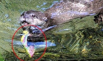 ˮ̡Ǳˮ����ֻ� �о��Լ�������