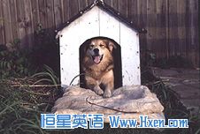 ǽӢ162:In the doghouse 