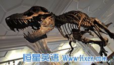 ǽӢ186:Someone is like a dinosaur ĳ