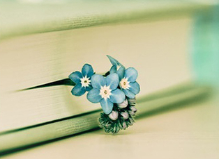 �ļ�����������Ӧ��