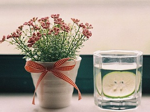 2014��11���ļ��������￼�Ա�����֪