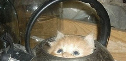 �����˸����� ʲô�Žж�èè