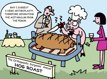 ������ѧ��