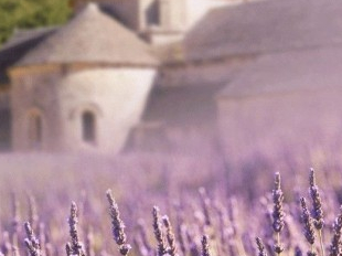 ��֪��bug�ĸ�����˼��