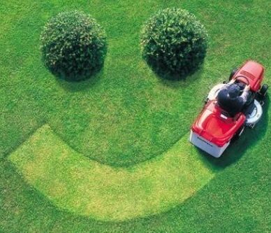 �����֪����Ӣ��С֪ʶ