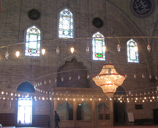 ����˹�����ϻ���ͽ