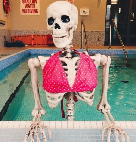 �߽�Skellie��Instagram�ϵ���������