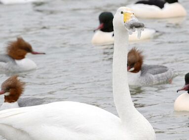 �۱�ů����Ҫ�� ��춳ס���ն���