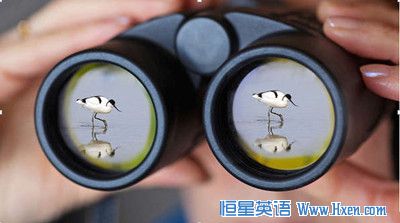 经济学人下载:鸟类观察 群情激动