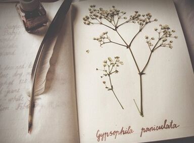 ��������:����ʻ��Ƿ���