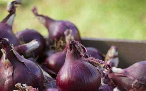 �����������Զ��������ڳ�