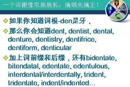 Ӣ�￼�Դʻ������ƽ⣺�ʸ���׺��