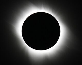 ��ȫʳ�����֡���������һ�ο�����