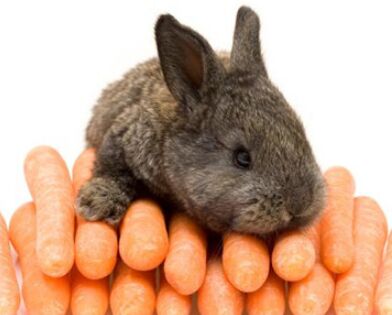 ����û�뵽��С���õ��氮���Ǻ��ܲ���