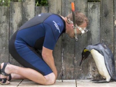 ����еĺ�Ѽ�ӣ���ˮ������������ɷ����Ա